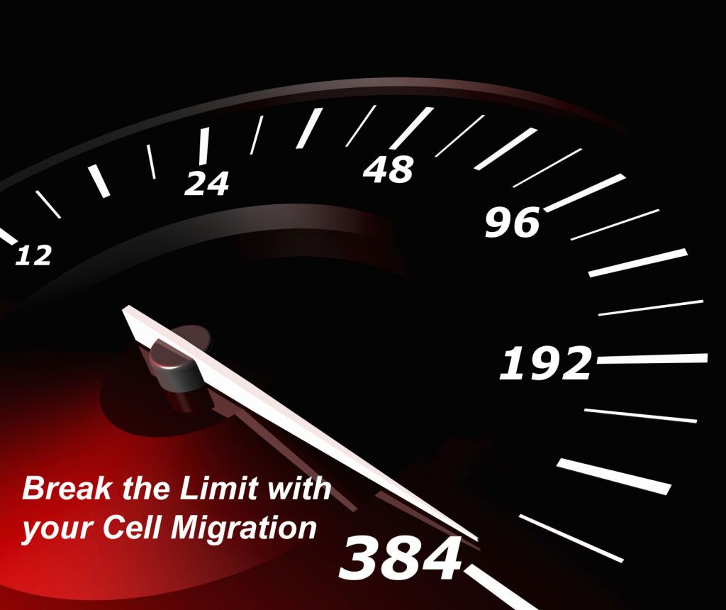 cellmigration384_bottom-25462d6.jpg