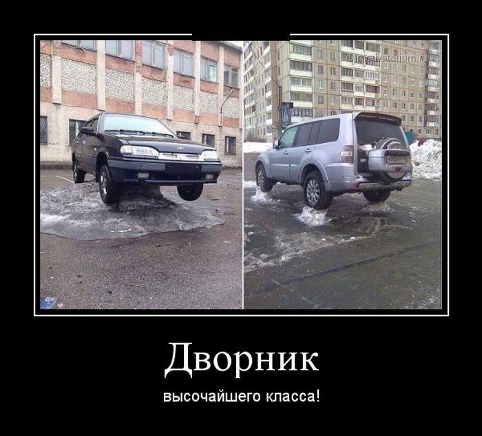 6b41dff06f.jpg