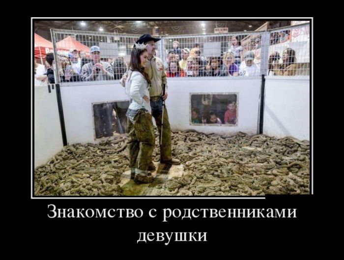demotivk.jpg