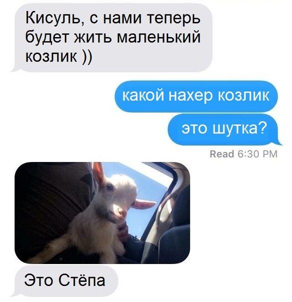 1 (49).jpg