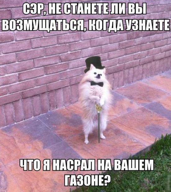 1 (3).jpg