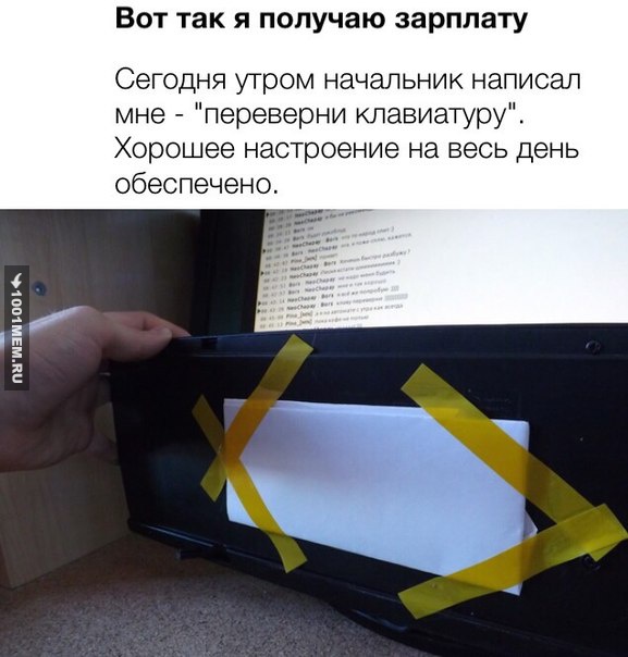3721408.jpg