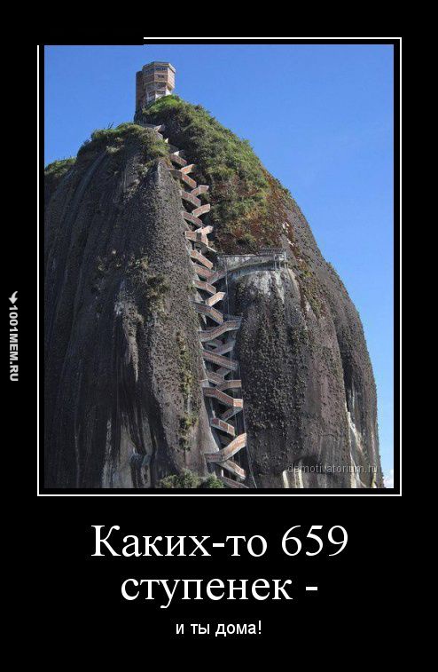 3721932.jpg