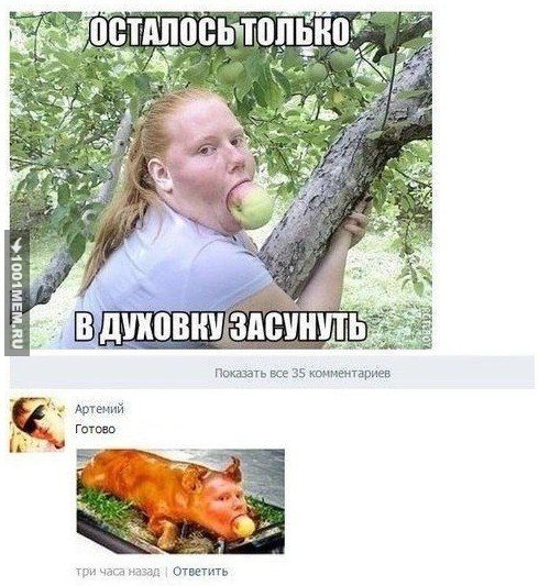 3733267.jpg