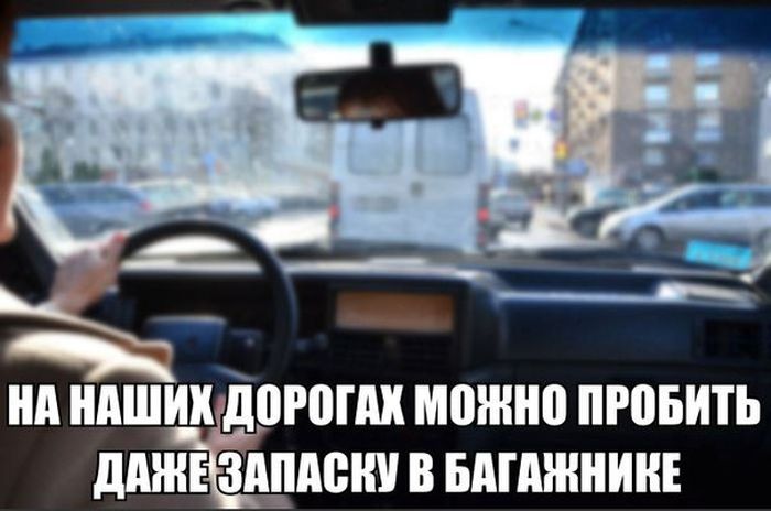 pdborka_.jpg