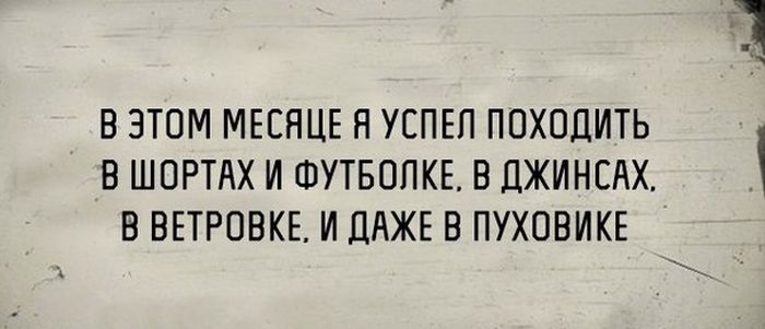 1 (23).jpg
