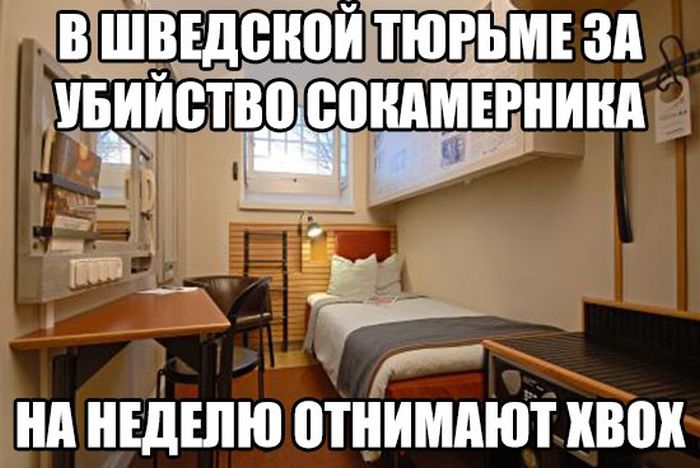 podborka_dnevnaya_21.jpg
