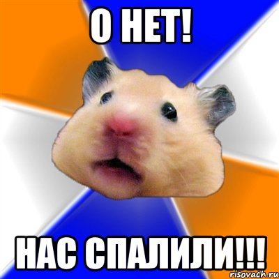 homyak_15777226_orig_.jpg