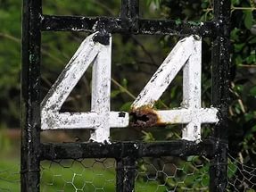i (3).jpg
