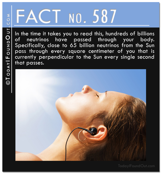 TIFO-Quick-Fact-587.jpg