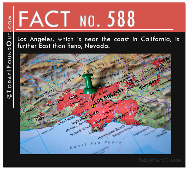 TIFO-Quick-Fact-588.jpg