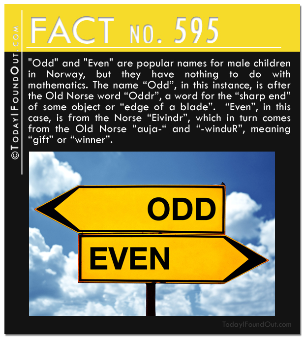 TIFO-Quick-Fact-595.jpg