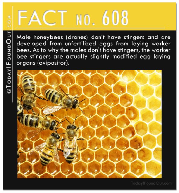 14802104_10-more-random-quick-facts_2552557_m.jpg