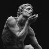 acediA